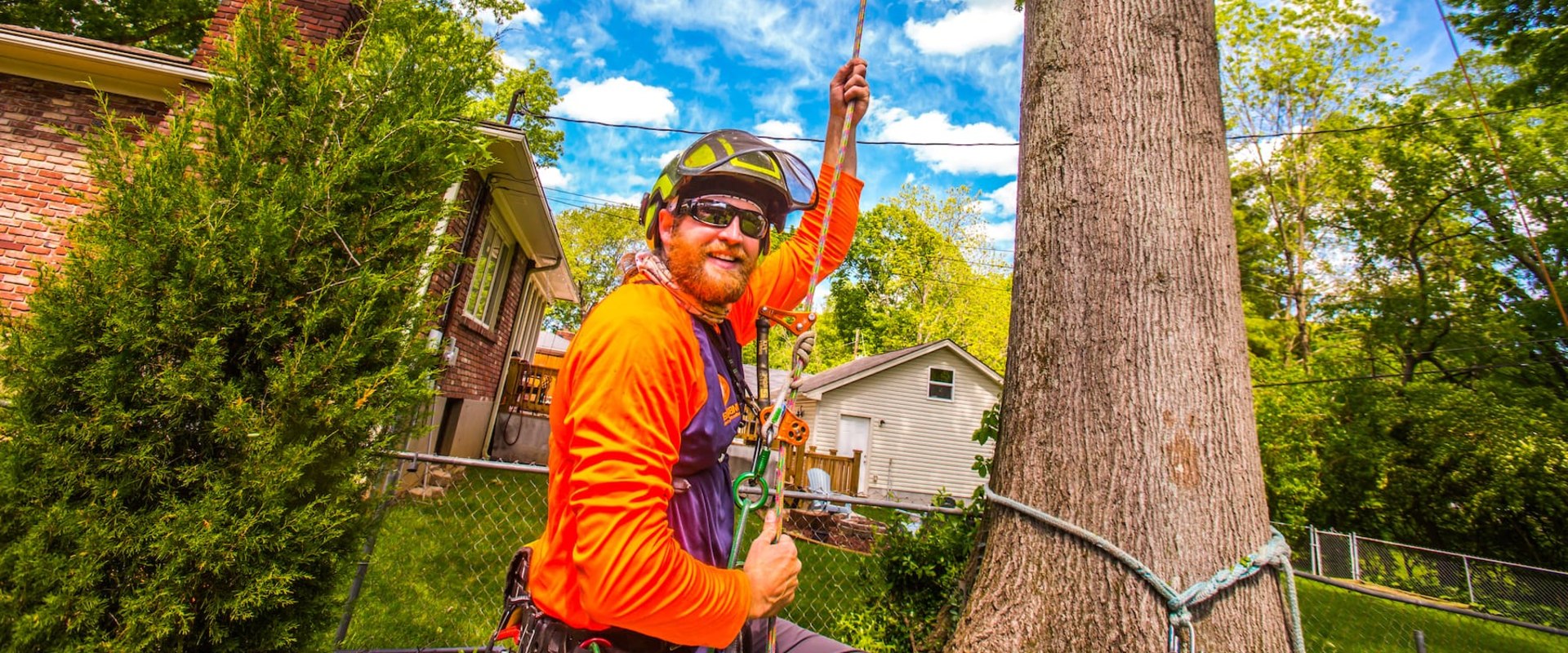 The Typical Timeline for Completing a Tree Care Project with Limbwalker Tree Care in Louisville