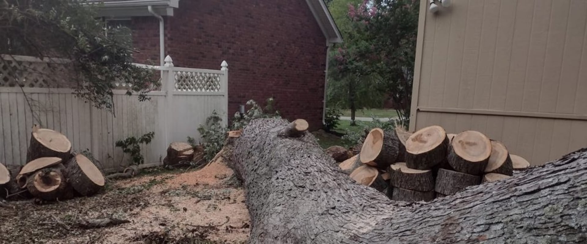 Is There a Warranty Offered for the Work Done by Limbwalker Tree Care in Louisville?