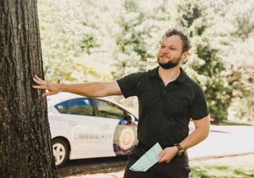 Limbwalker Tree Care: Ensuring Safety and Protection with Liability Insurance in Louisville